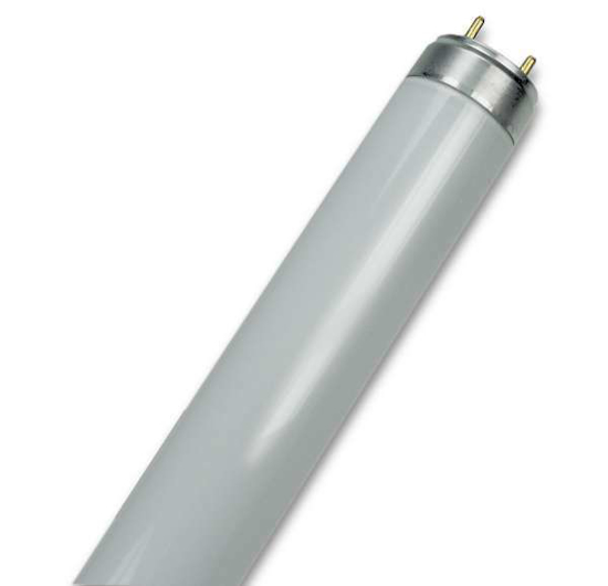 OSRAM L LAMP 18W/830 59CM 41729 3342028