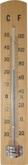 HENDRIK JAN BUITENTHERMOMETER BEUKEN 20 CM 1102196 3356225