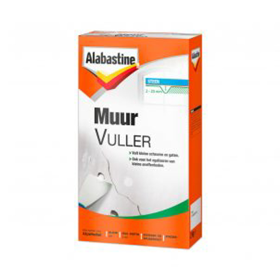 Afbeeldingen van ALAB. MUURVULLER 500 GR.